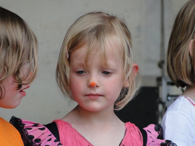 koninginnedag 2012 207.jpg